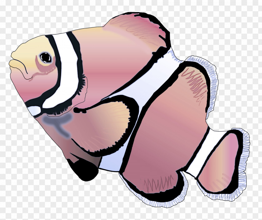 Pomacentridae Clownfish Cartoon Pink Fish Anemone Clip Art PNG