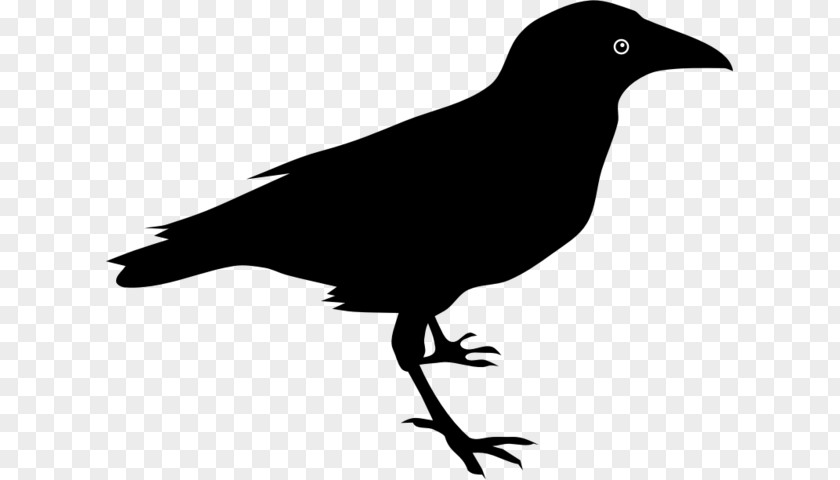 The Raven Baltimore Ravens Common Clip Art PNG