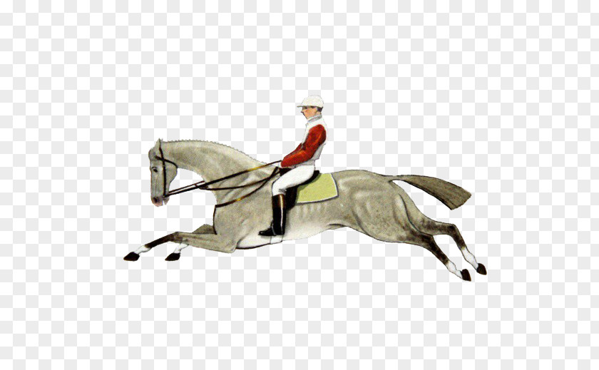 Horse Running Man Equestrianism Illustration PNG