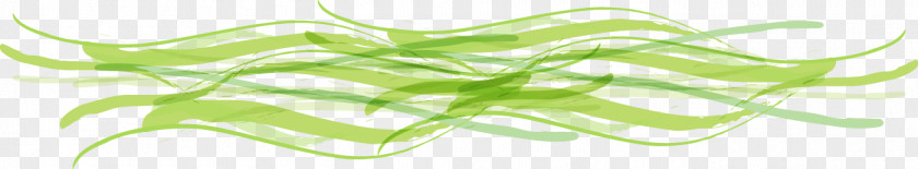 Cartoon Abstract Geometric Curve Leaf Grasses Plant Stem Tree Green PNG