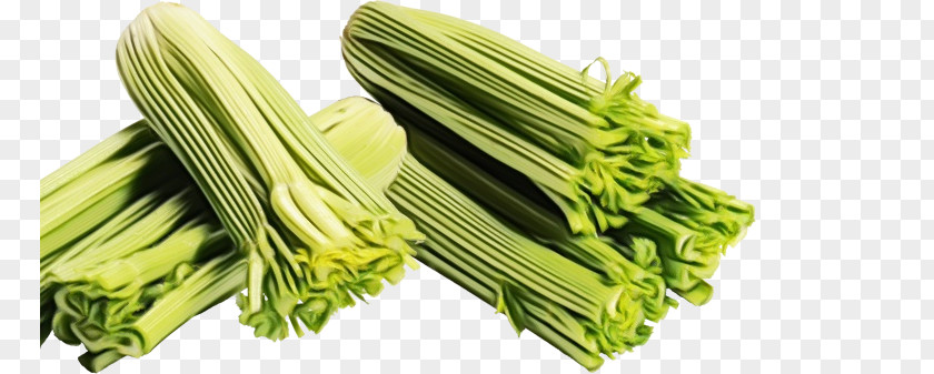 Scallion Komatsuna Welsh Onion Choy Sum Wild Leek PNG