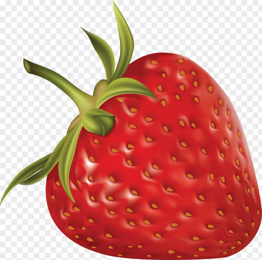 Strawberry Images Wild Angel Food Cake Shortcake PNG