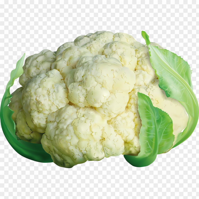 Ultra-realistic Material Cabbage Cauliflower Brussels Sprout Broccoli PNG