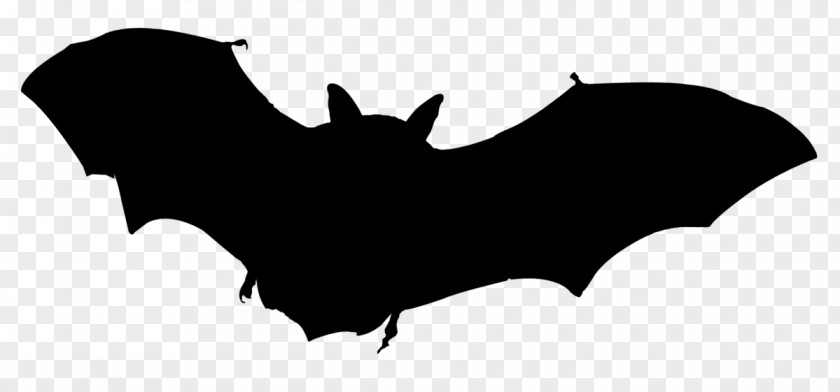 Bat Clip Art Vector Graphics Royalty-free Stock Photography PNG