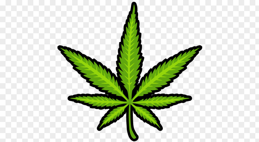 Cannabis Medical Marijuana PNG