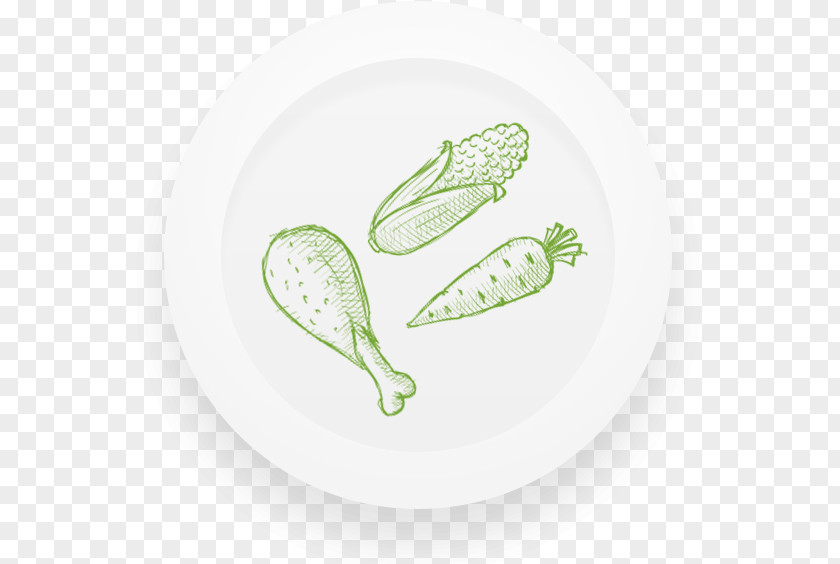 Clean Plates Vegetable Organism PNG