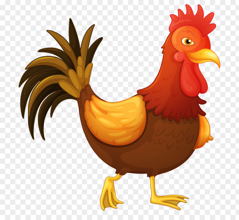 Cock Chicken Rooster Clip Art PNG