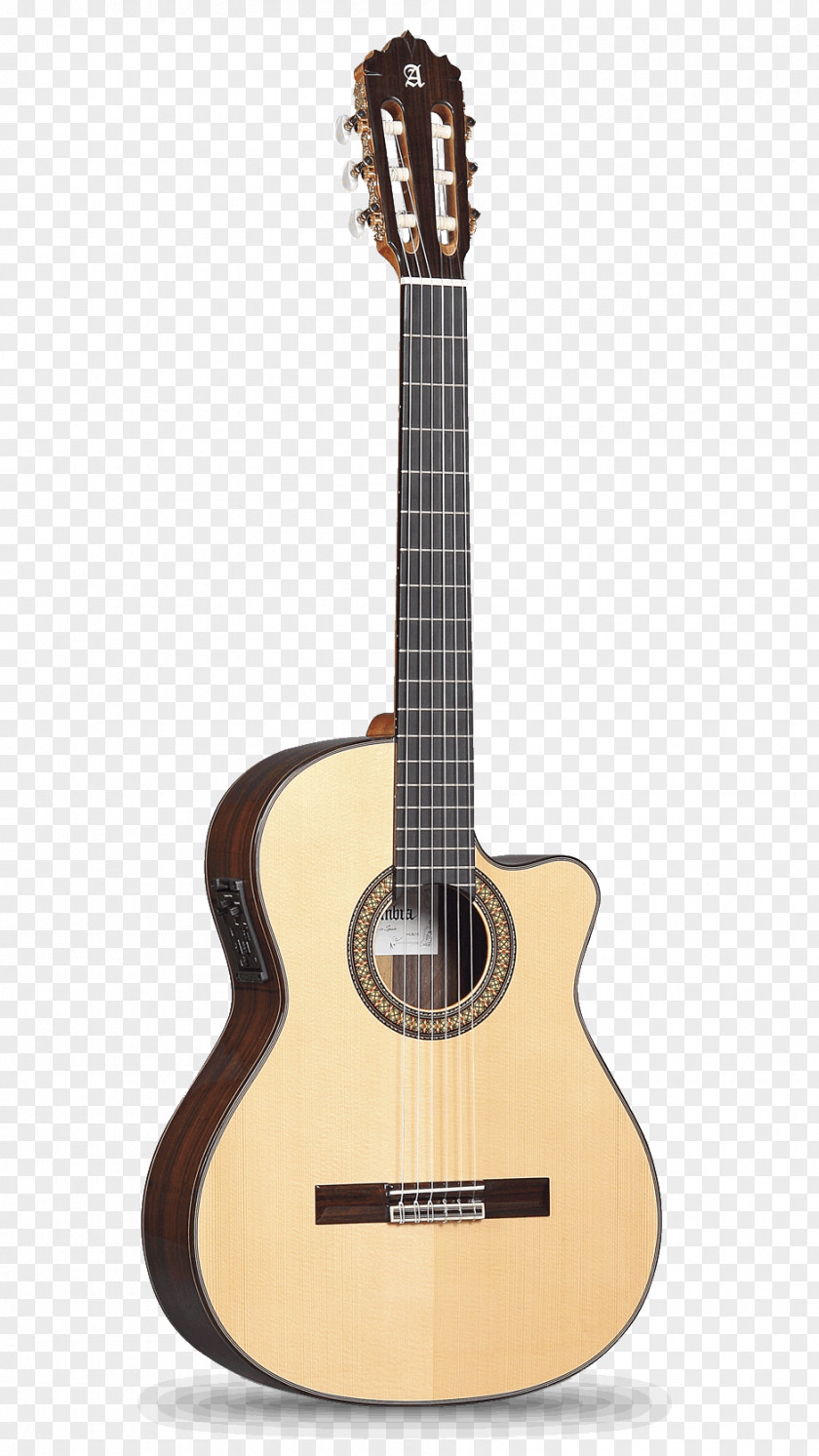 Guitar Classical Acoustic Musical Instruments Cutaway PNG