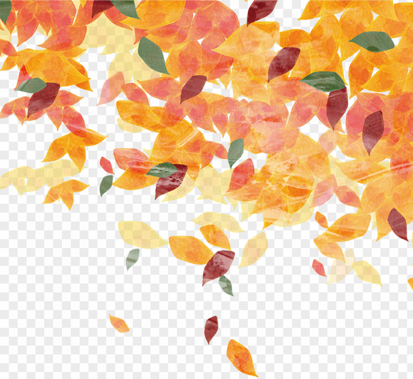 Hand-painted Leaves Leaf Autumn Pattern PNG