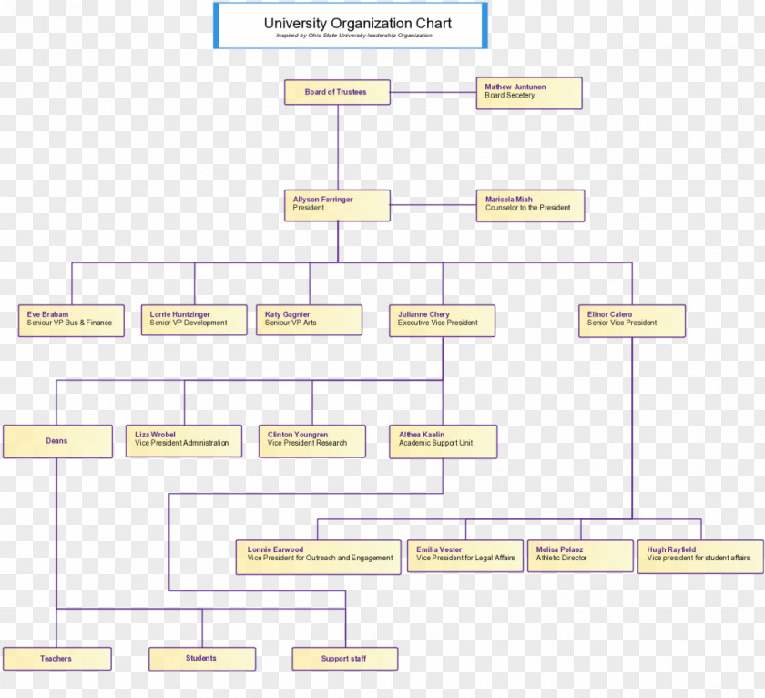 Organization Chart Paper Area Rectangle PNG