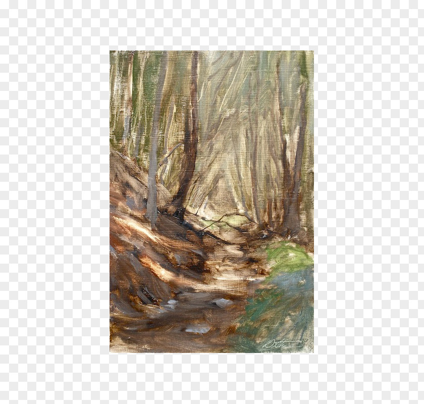 Painting Bayou Woodland Ecosystem PNG