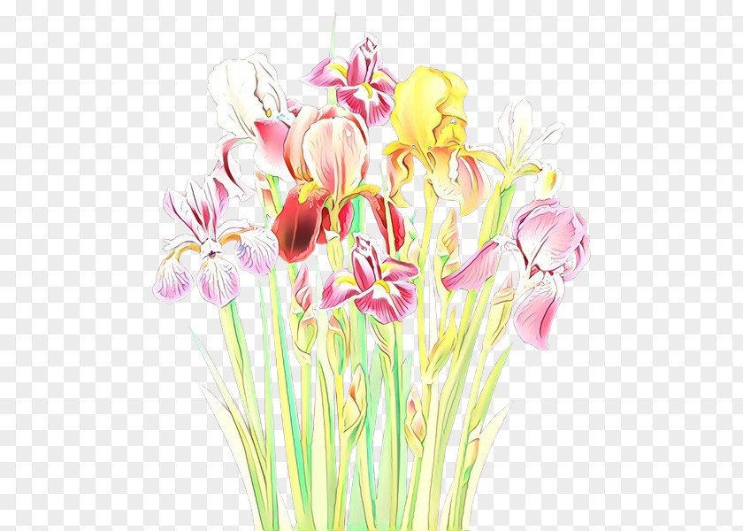 Petal Iris Flower Cut Flowers Plant Pink Pedicel PNG