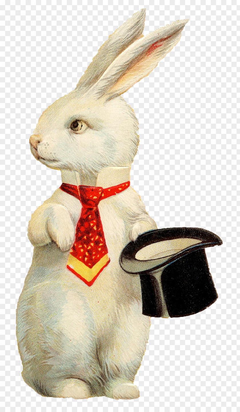 Rabbit White Easter Bunny European Top Hat PNG