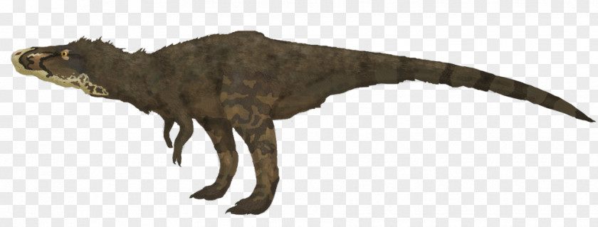 Tyrannosaurus Velociraptor Fauna Extinction Animal PNG