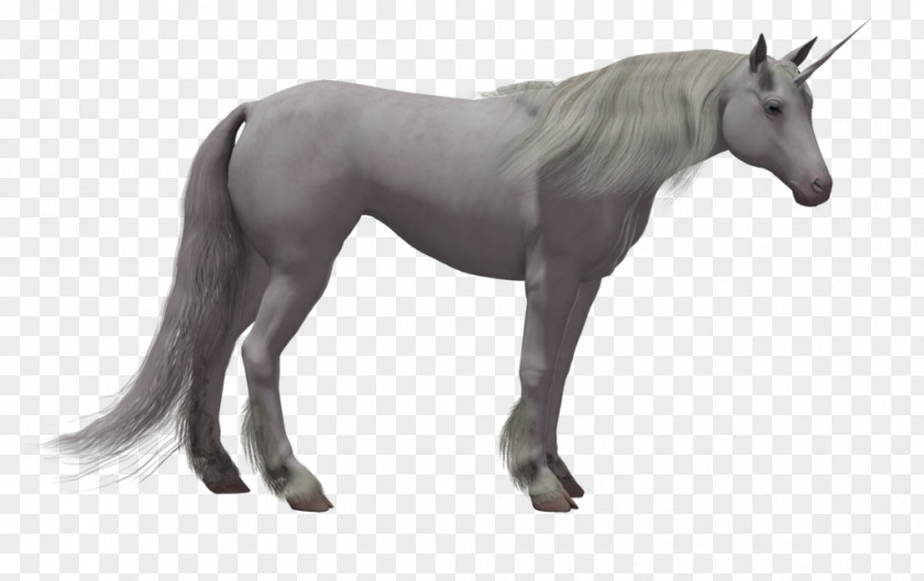 Unicorn Background Horse Stallion Colt Pony Foal PNG