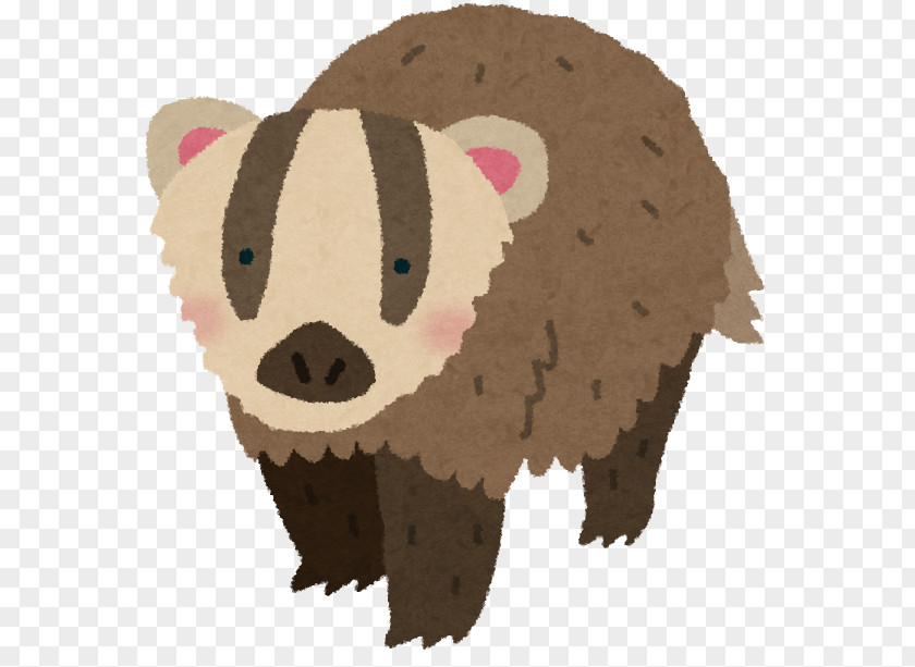 Bear Togetter News Court Person PNG