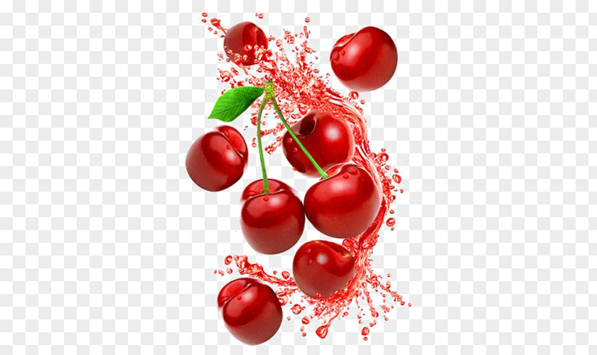 Cherry PNG clipart PNG