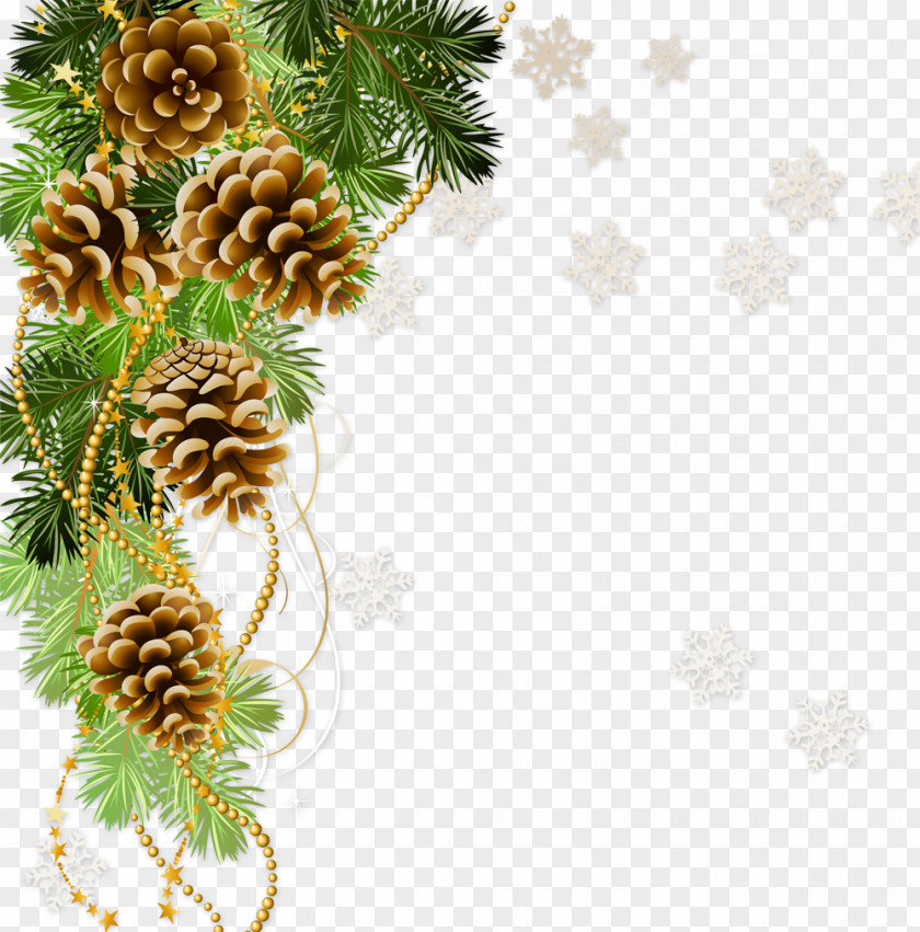 Pine Cone Photography Royalty-free Clip Art PNG