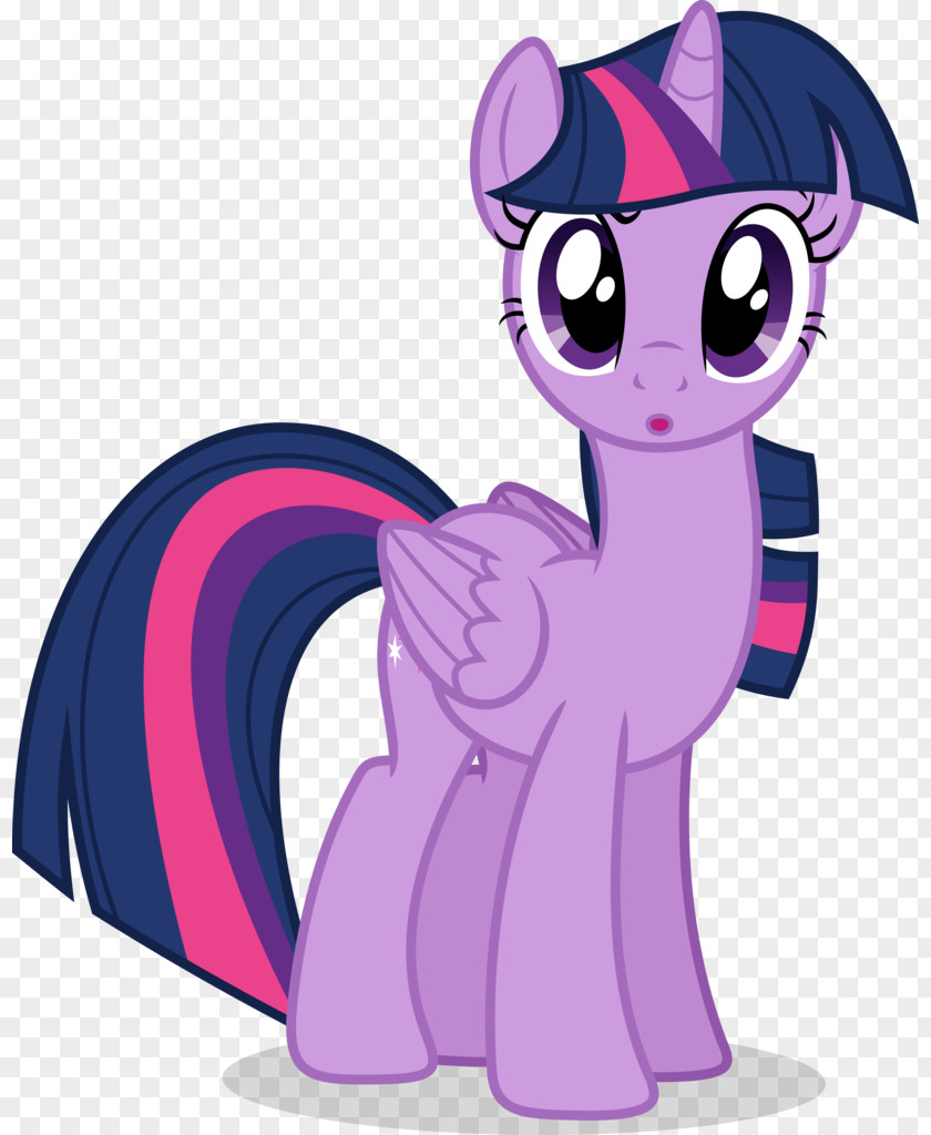 Twilight Sparkle Pony Rarity Applejack Spike PNG