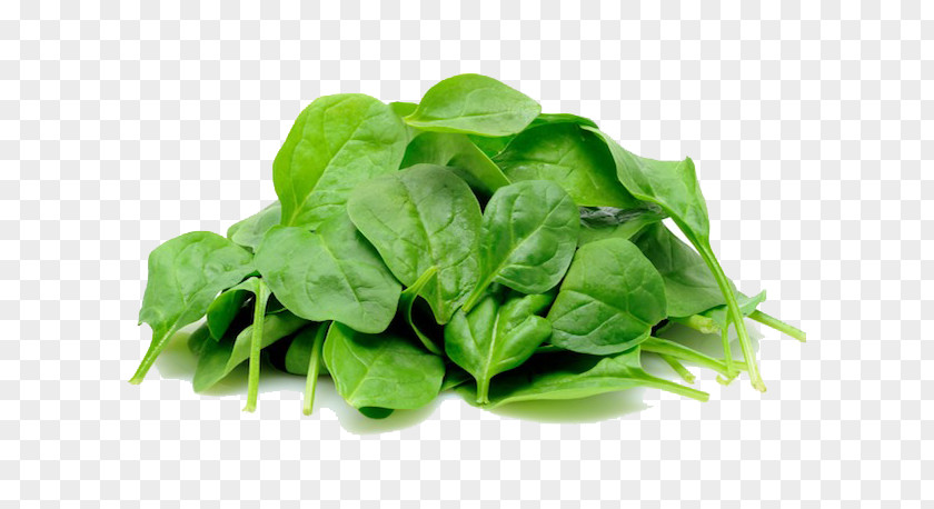 Vegetable Spinach Greens Image PNG