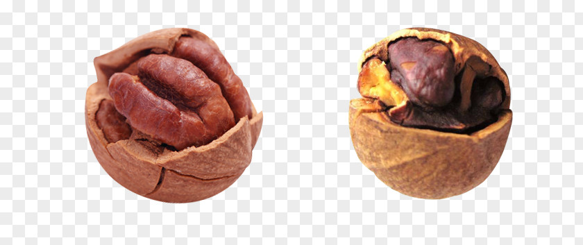 Walnut Compare Contrast Goods PNG