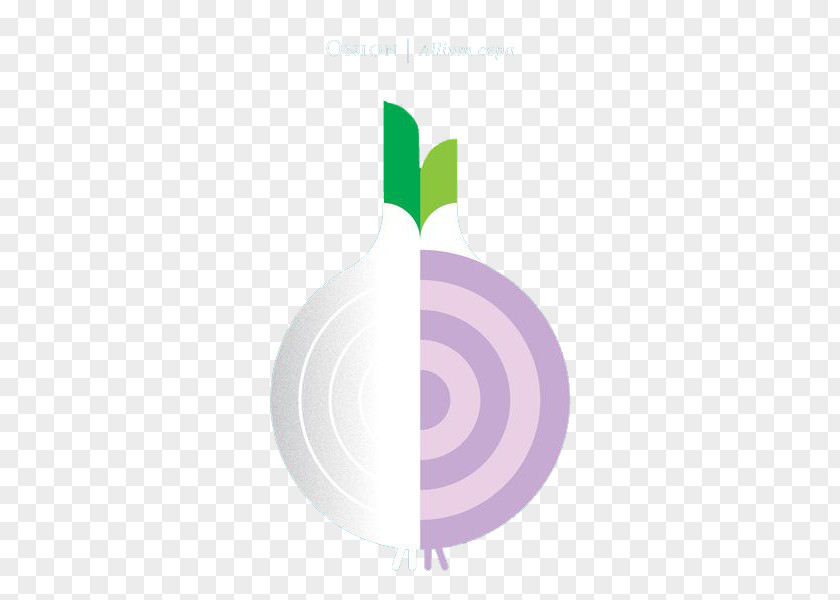 Flat Onion Design PNG