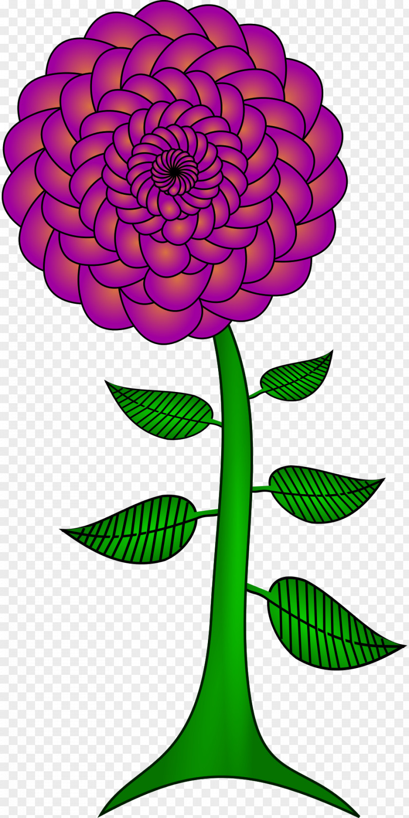 Flower Floral Design Vector Graphics Clip Art Petal PNG