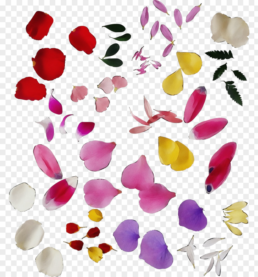 Heart Plant Purple Watercolor Flower PNG
