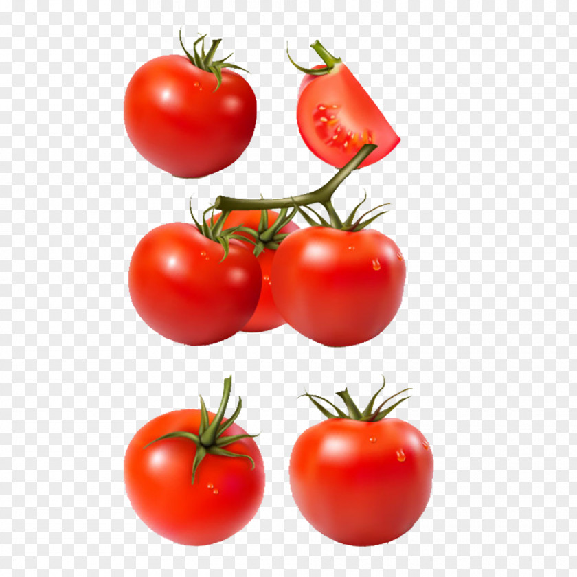 Nutrition Tomato Vegetable PNG