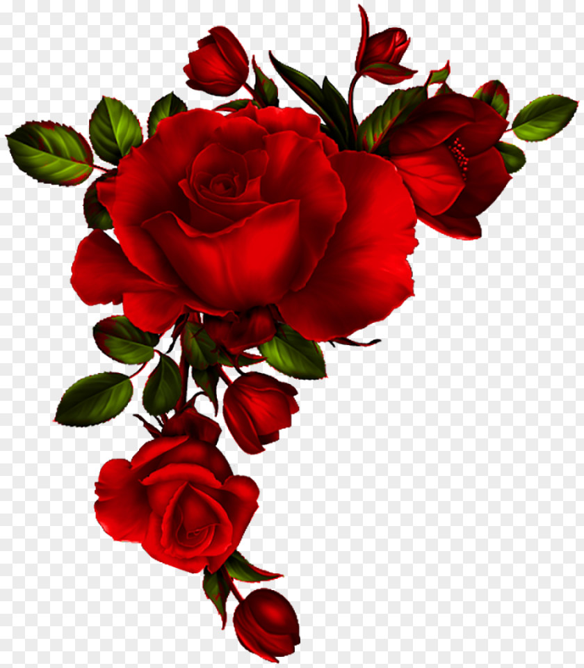 Rose Clip Art Floral Design Image PNG