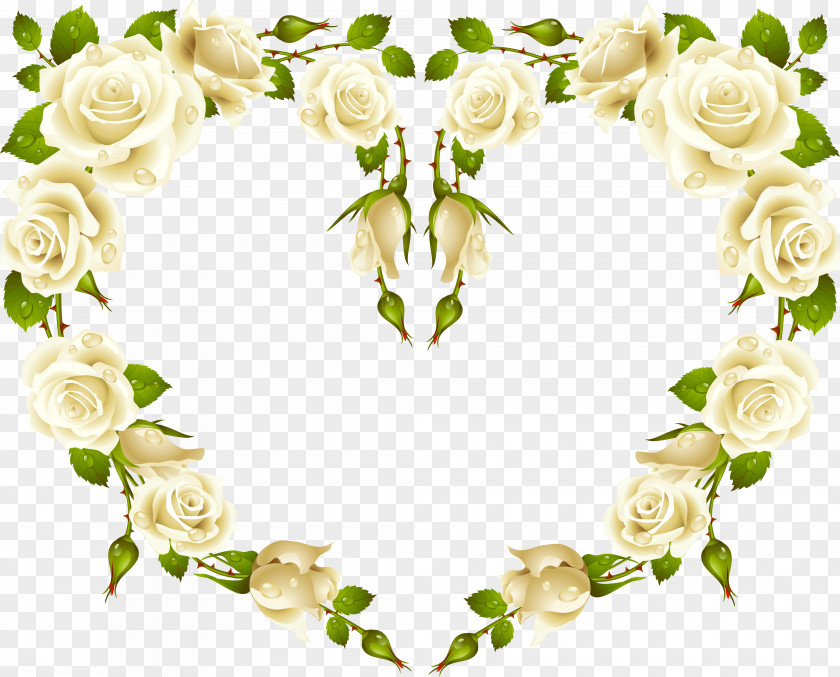 Rose Picture Frames Garden Roses Clip Art Vector Graphics PNG