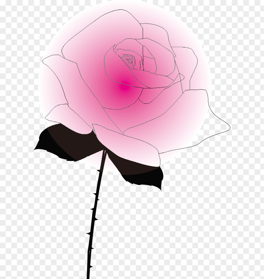 Rose Garden Roses Pink M PNG