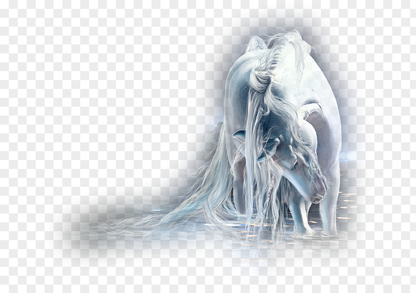 Bow Horse Akhal-Teke Unicorn Legendary Creature Pegasus Wallpaper PNG