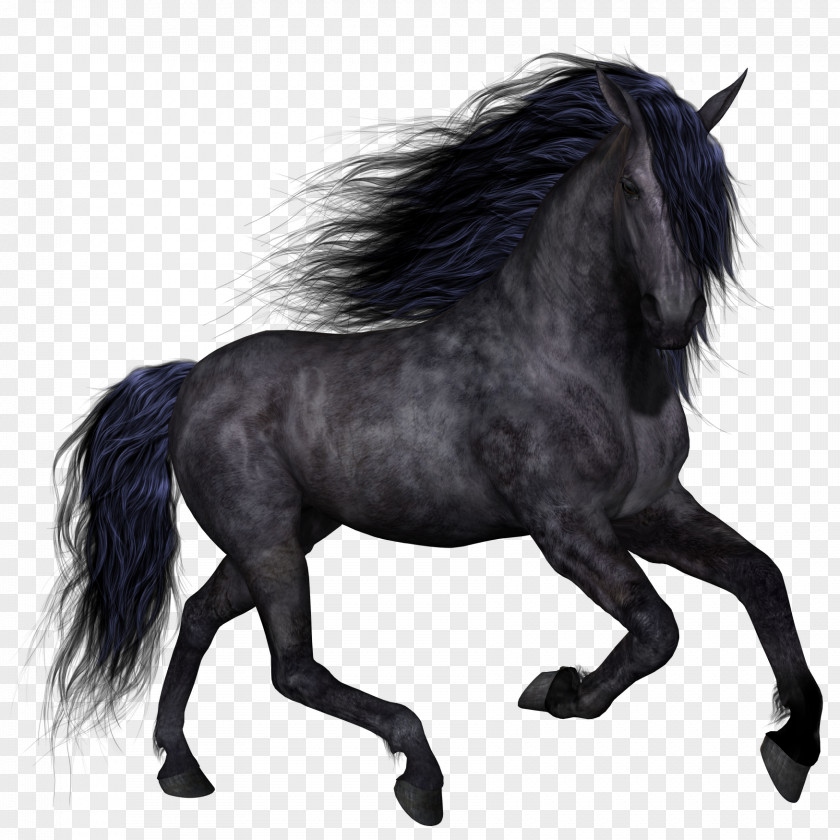Dark Horse Pony Clip Art PNG