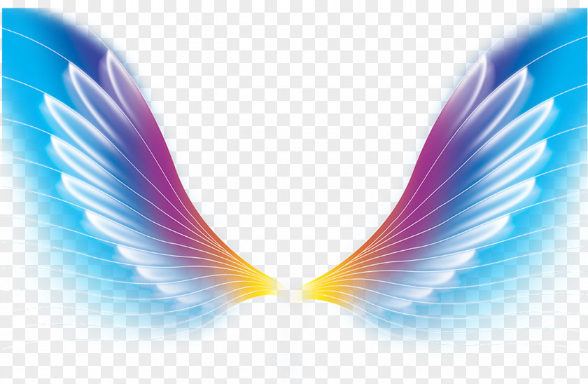 Dream Wings Color Wing PNG