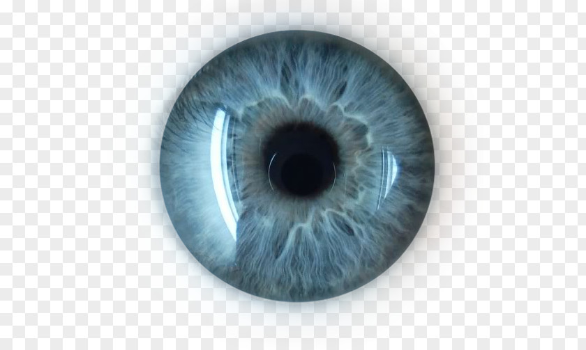 Eye Lens PNG