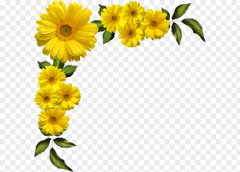Flower Floral Design Clip Art Yellow PNG