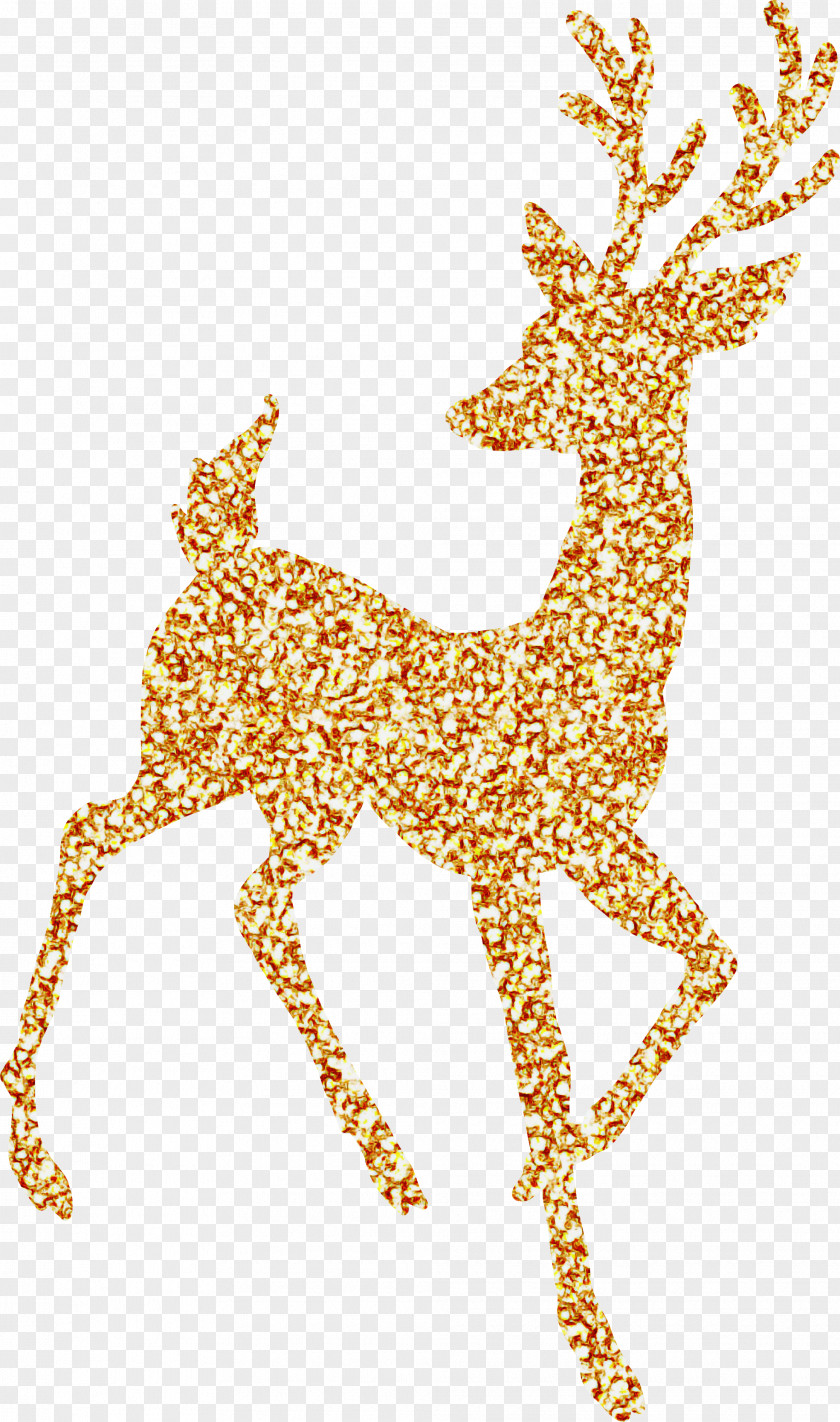 Giraffidae Giraffe Reindeer PNG