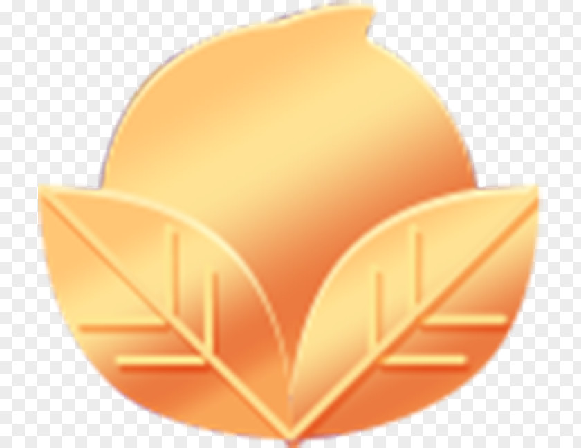 Golden Peach Perspective Download PNG