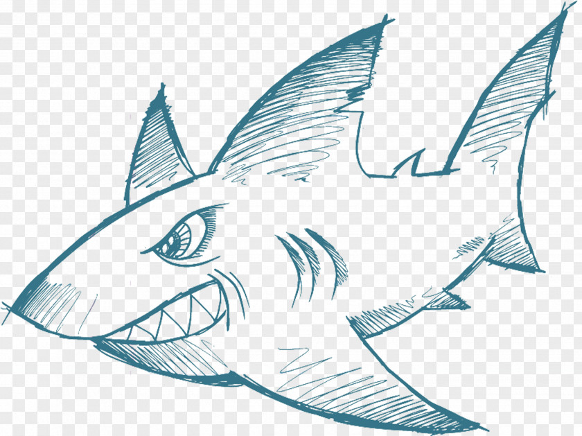 Hand Drawn Shark Drawing Fish PNG