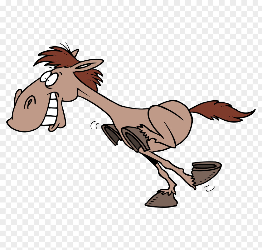 Horse Pony Vector Graphics Royalty-free Stock Photography PNG