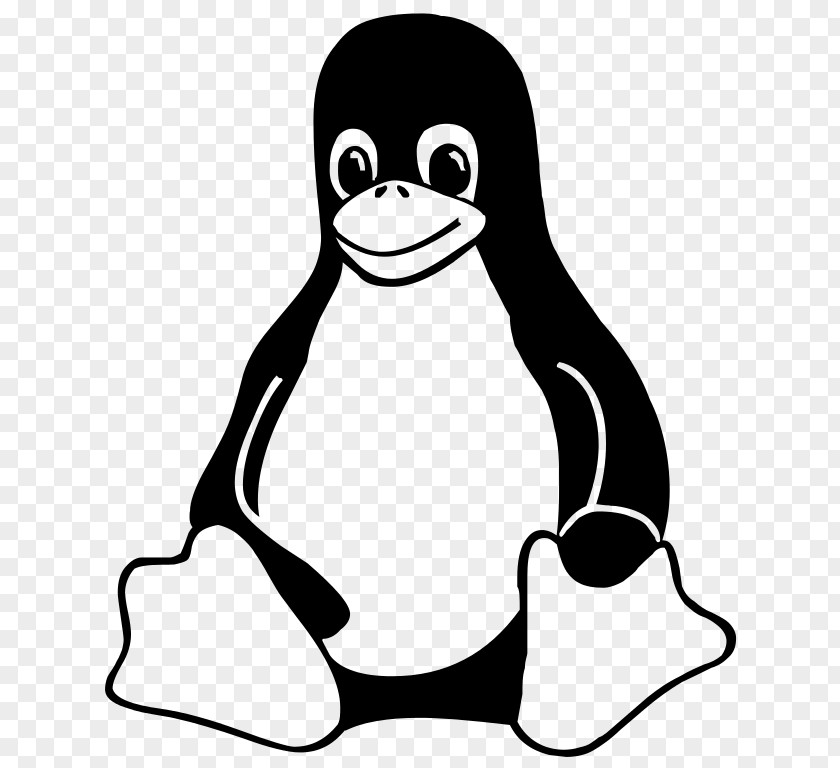 Linux Kernel Tux Logo PNG