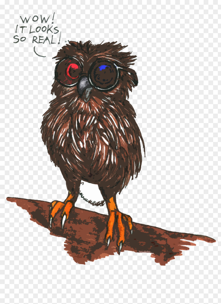 Little Owl Fauna Beak PNG