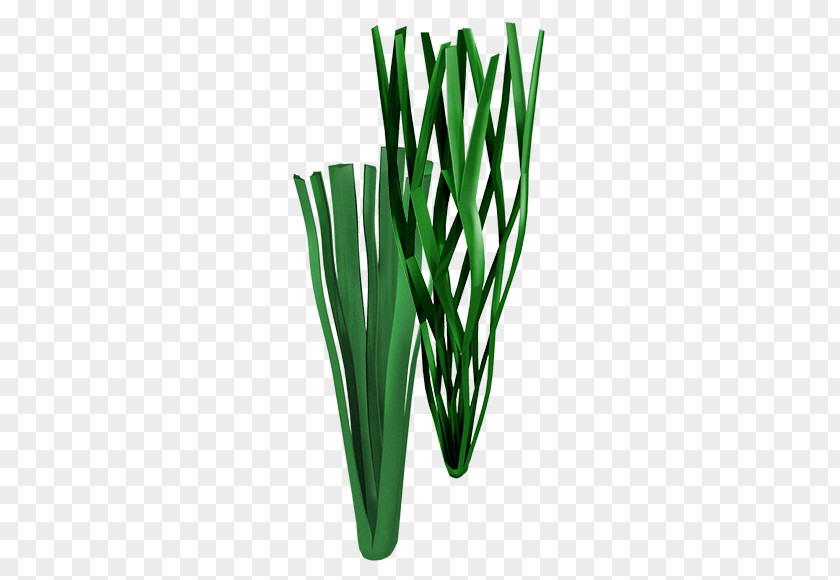Synthetic Fiber Allium Fistulosum Welsh Cuisine Grasses Commodity Plant Stem PNG