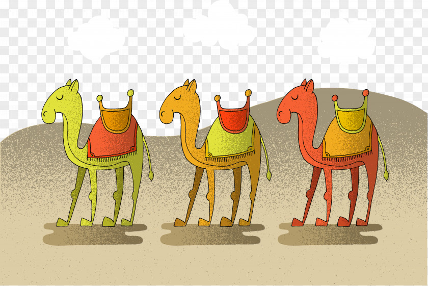 Vector Camel Euclidean Desert Illustration PNG