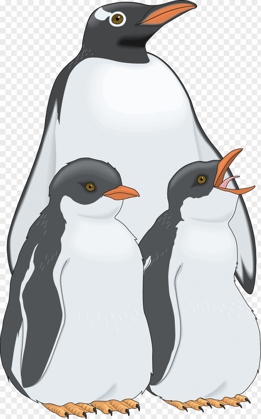 Hand-painted Three Penguins Vector Penguin Bird PNG