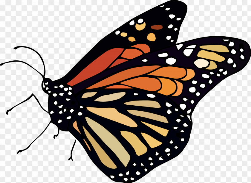 Nature Explorers Monarch Butterfly Clip Art Brush-footed Butterflies Pieridae PNG