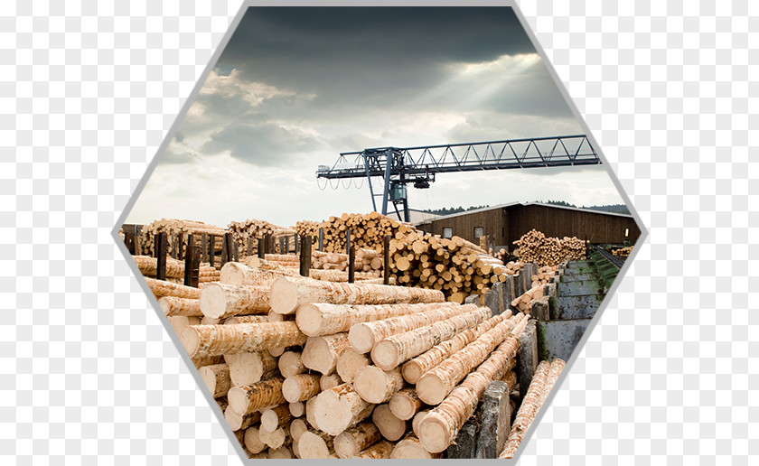 Powder Explosion Sawmill Particle Board Lumberjack Forestry PNG