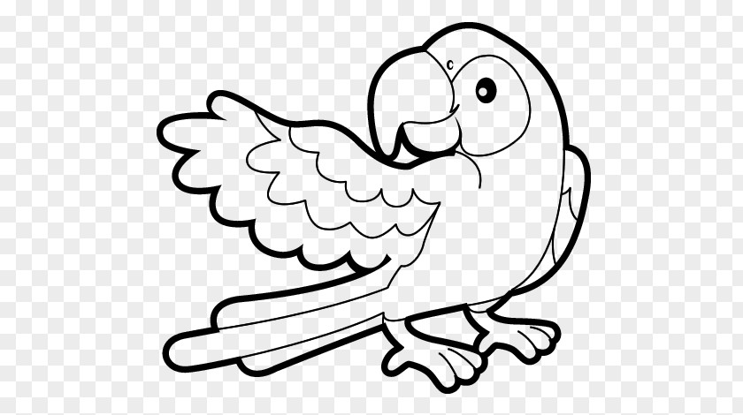 Coloring Book Drawing True Parrot Child PNG