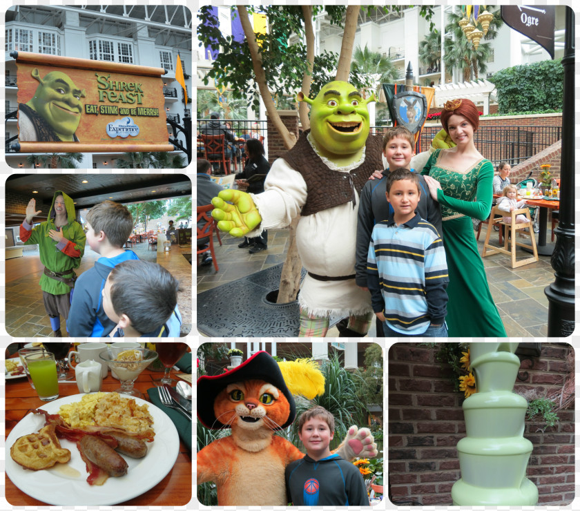 Feast Candy Gaylord Opryland Resort & Convention Center DreamWorks Experience Princess Fiona Shrek Film Series PNG